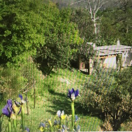 Вілла Cortijo La Vinuela Atalbeitar Екстер'єр фото