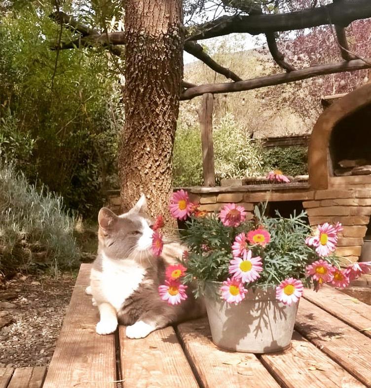 Вілла Cortijo La Vinuela Atalbeitar Екстер'єр фото