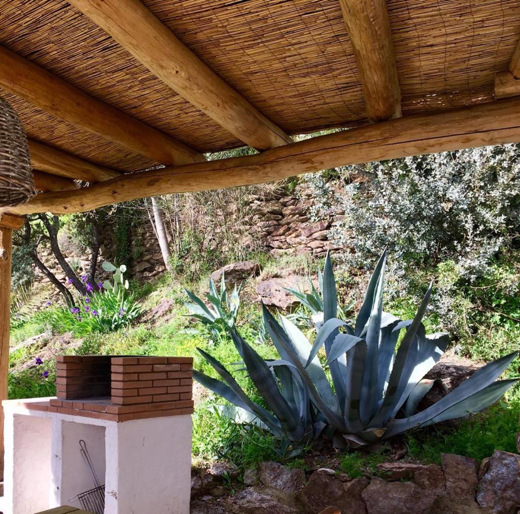 Вілла Cortijo La Vinuela Atalbeitar Екстер'єр фото