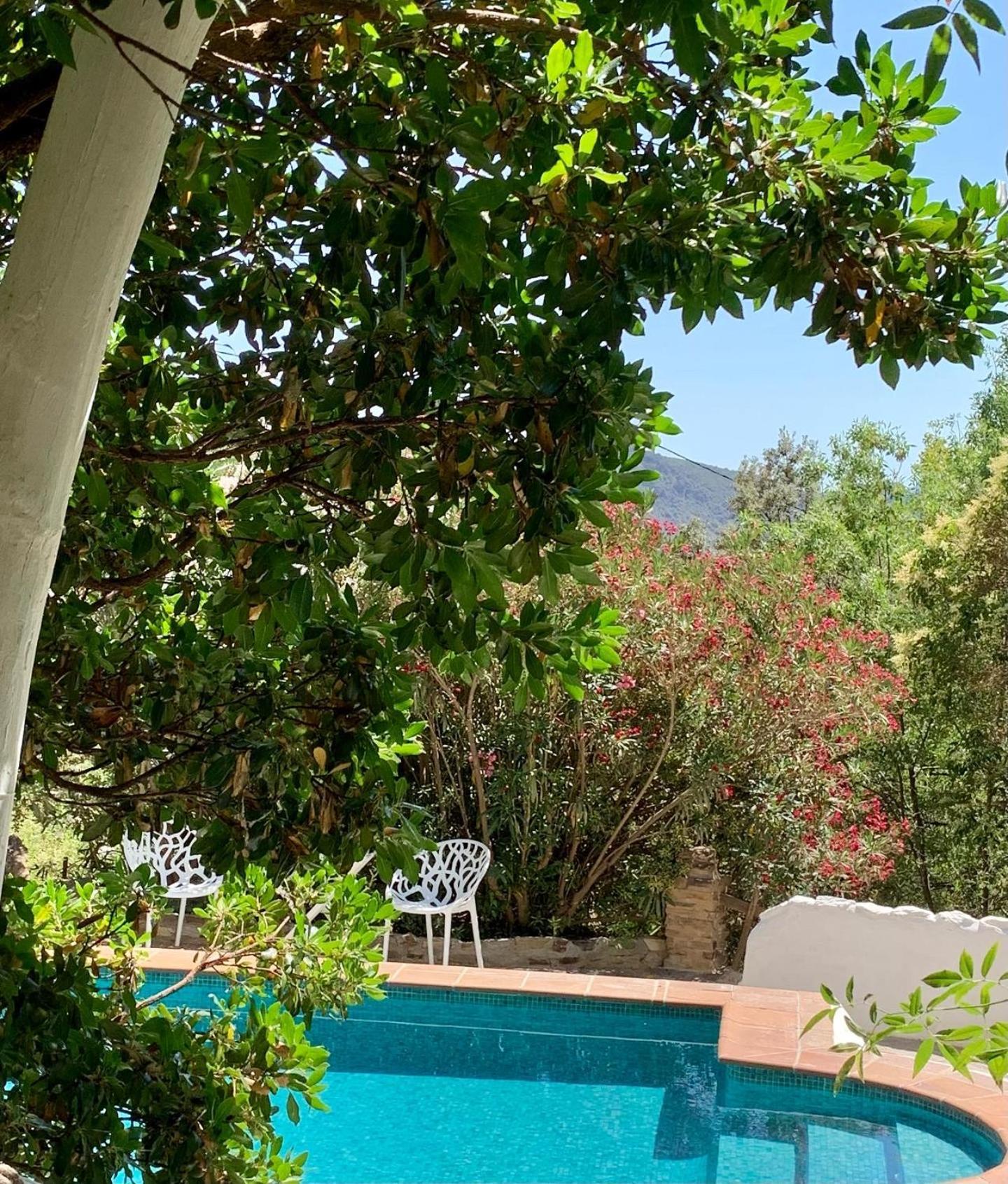 Вілла Cortijo La Vinuela Atalbeitar Екстер'єр фото