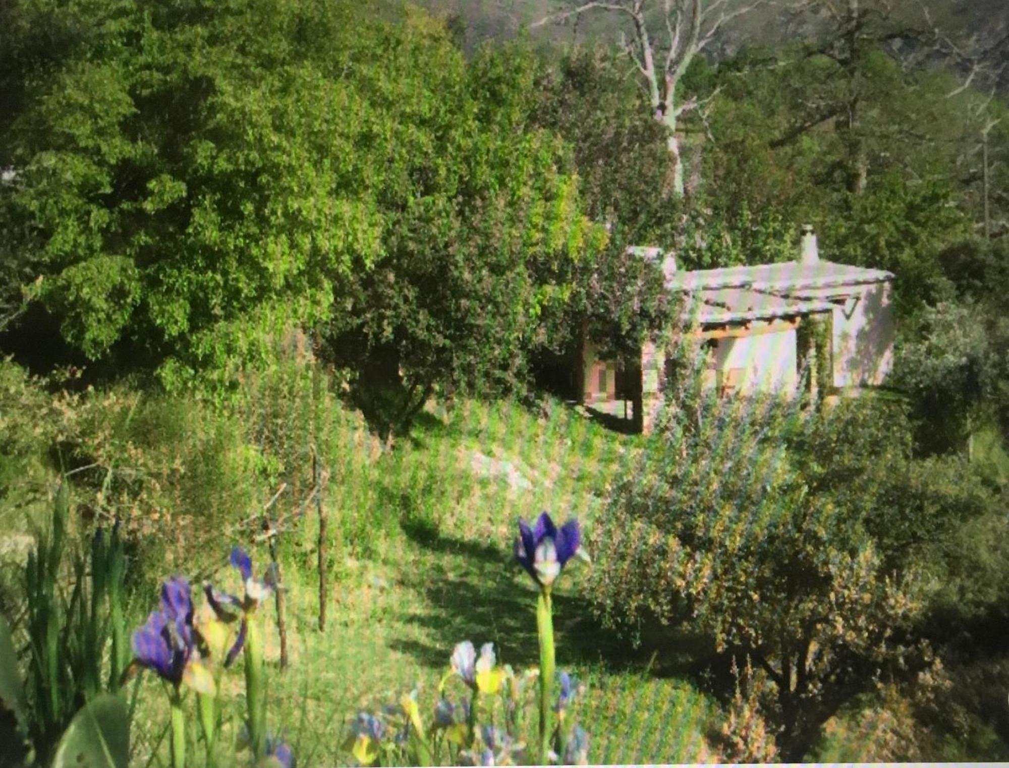 Вілла Cortijo La Vinuela Atalbeitar Екстер'єр фото