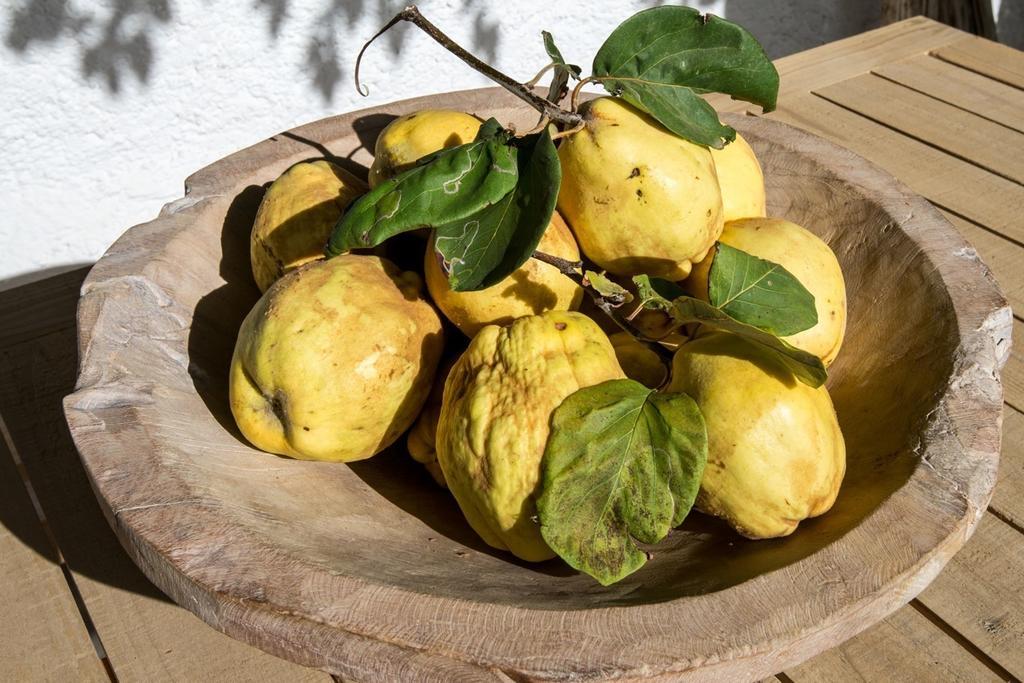Вілла Cortijo La Vinuela Atalbeitar Номер фото