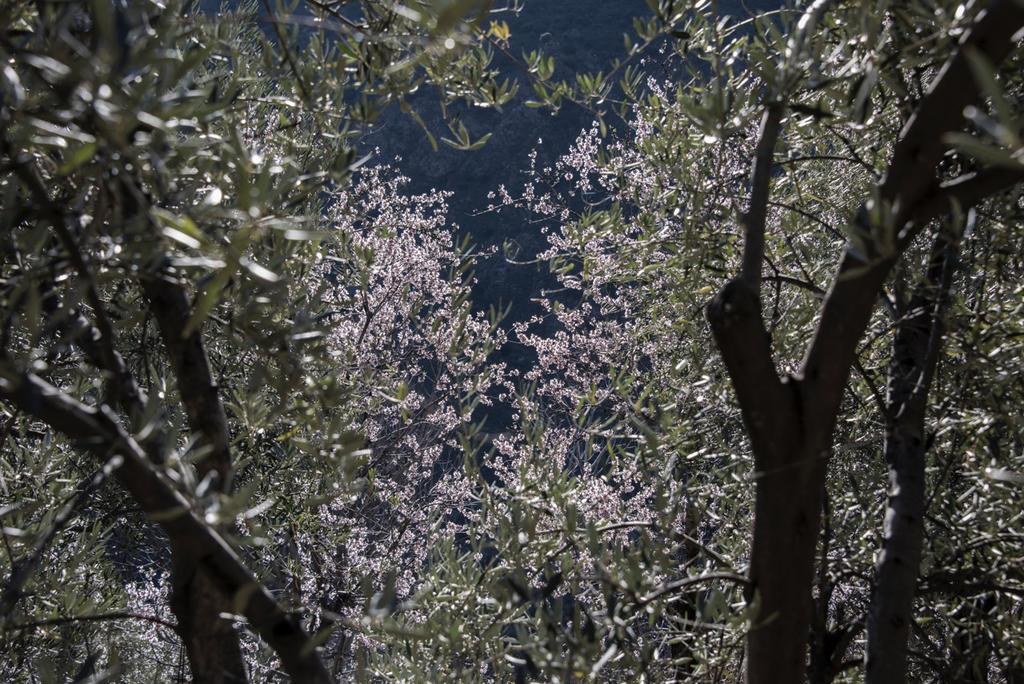 Вілла Cortijo La Vinuela Atalbeitar Екстер'єр фото